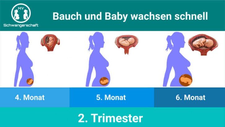 Grafik Zweites Trimester